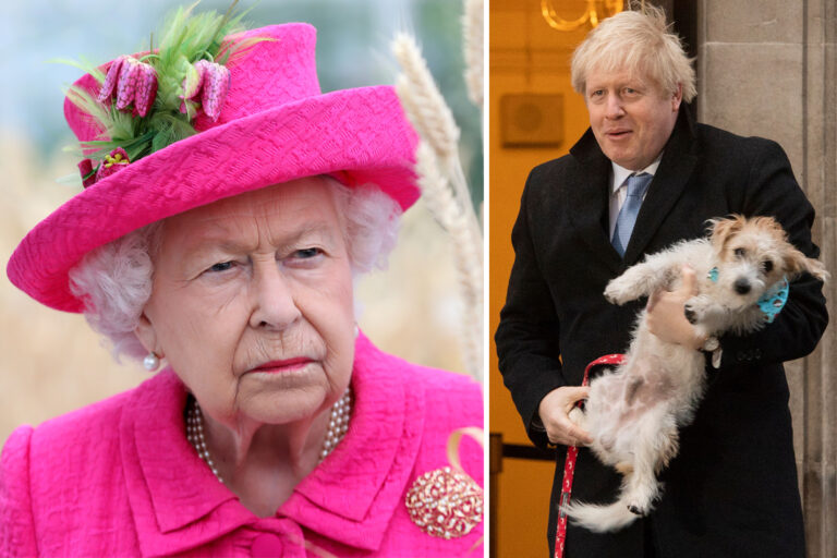 Boris Johnson ha Irritato la Regina Elisabetta: Il Suo Cane Uccide un Cigno Reale